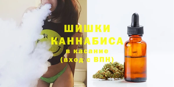 мдпв Медногорск