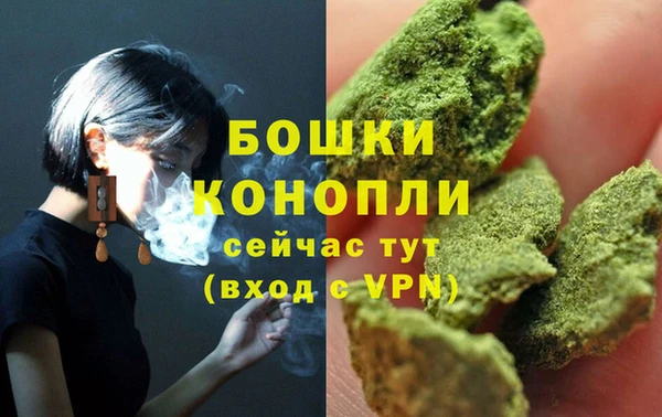 мдпв Медногорск