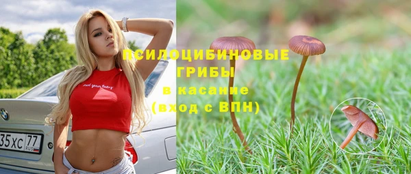гашик Медвежьегорск