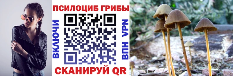 Купить  Кадников  Галлюциногенные грибы GOLDEN TEACHER 